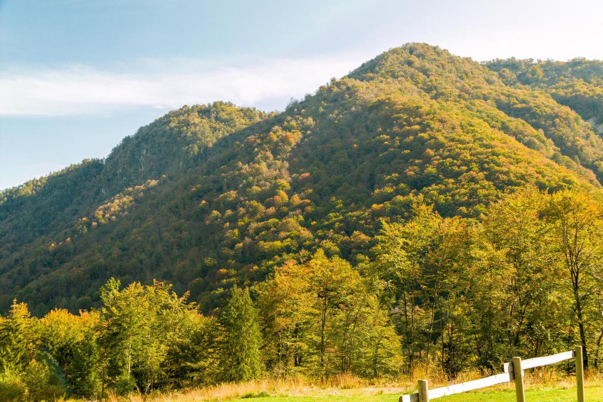 Agriturismo Pian Dei Tass Барчис Екстериор снимка