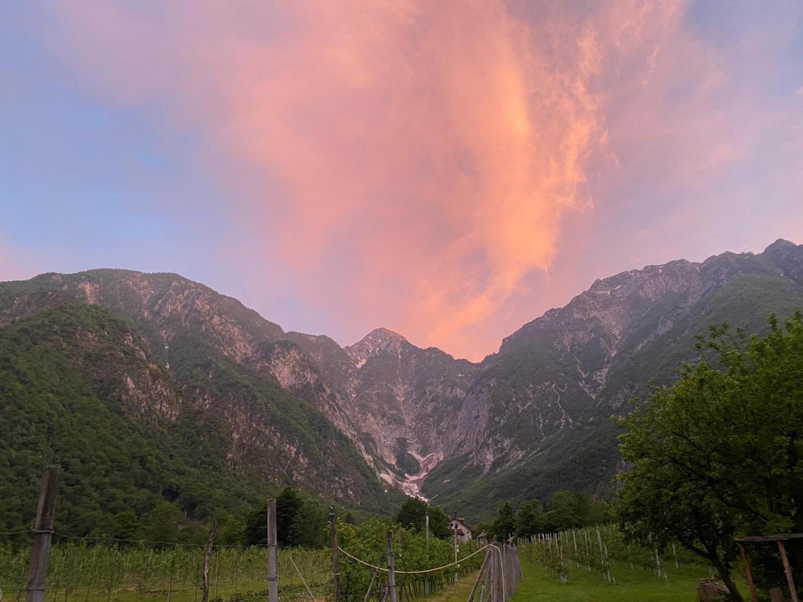 Agriturismo Pian Dei Tass Барчис Екстериор снимка