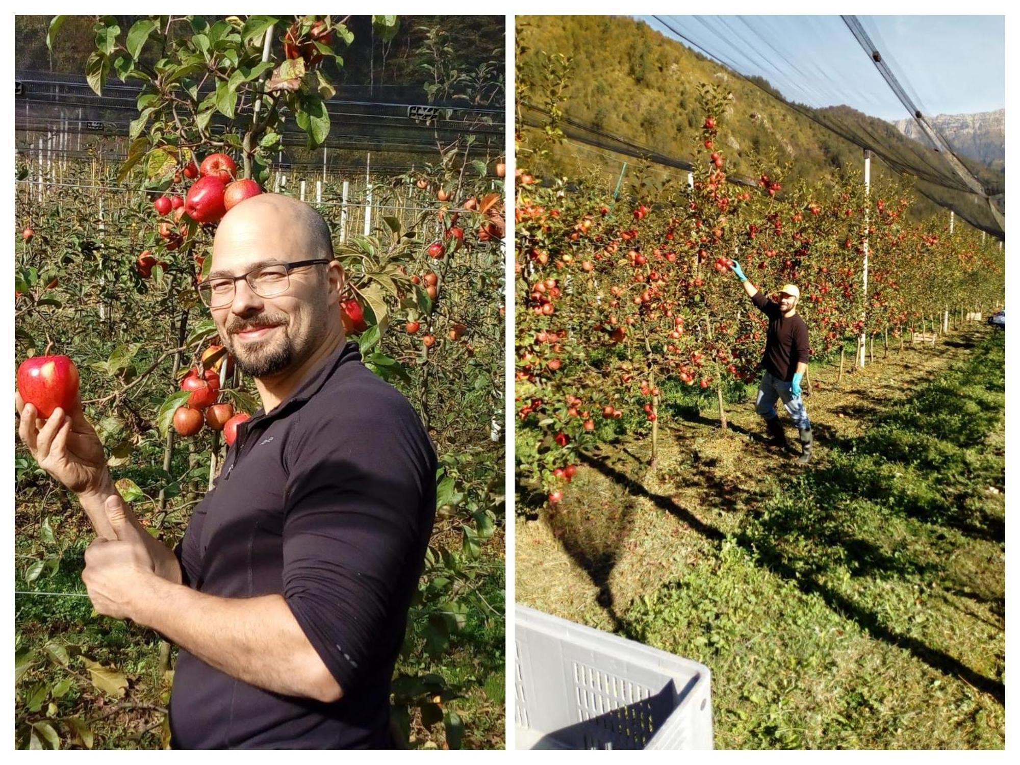 Agriturismo Pian Dei Tass Барчис Екстериор снимка