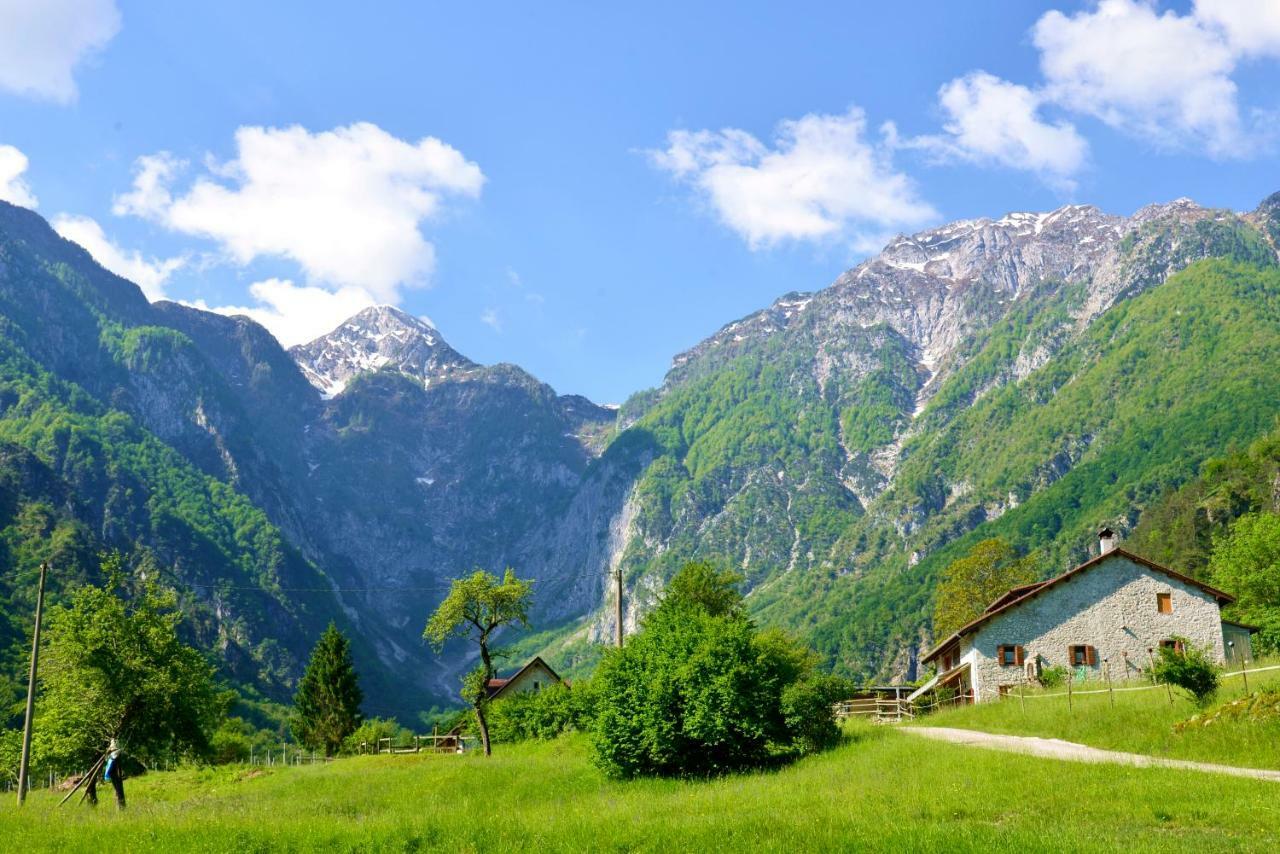Agriturismo Pian Dei Tass Барчис Екстериор снимка