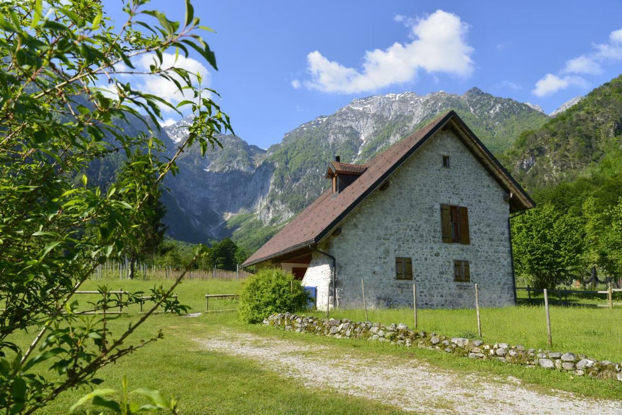 Agriturismo Pian Dei Tass Барчис Екстериор снимка